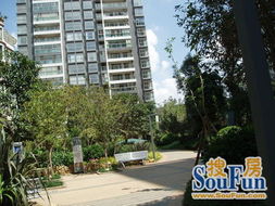 延安醫(yī)院正規(guī)一室一廳精裝修優(yōu)價(jià)出租 房產(chǎn)頻道 云南信息網(wǎng)