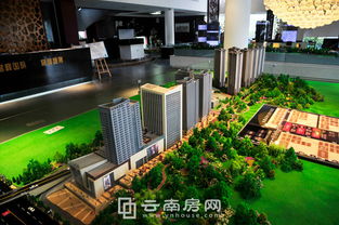 譽(yù)峰國際8月銷售創(chuàng)佳績 投資型產(chǎn)品受青睞