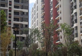 朝花曦拾1期滿意交房 2期聯(lián)邦國際中心即將面市