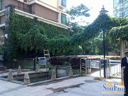 新亞100 真房源,財(cái)富中心3房全新裝修,帶全套家具家電3500 月 房產(chǎn)頻道 云南信息網(wǎng)